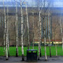 Tate Modernの風景