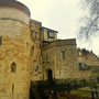 Tower of Londonは本当に荘厳です。ただツアー料金がばか高いので中には入らず・・。