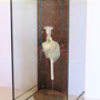 Diepzeerat (in glazen vitrine) 30x30x60cm 