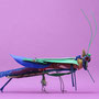 Insect in rood groen blauw 40x31x12cm