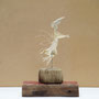 Ballet 30x20x10cm 