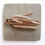 Roofvogel 27x27cm