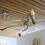 Vliegende dinosaurus 140x110cm 