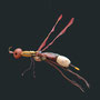 Insect (hangend) 80x40x70cm