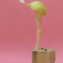 Vogel op één been 30x15x13cm