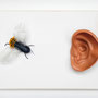 Het Oor 23x15cm 