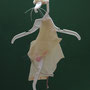Witte rat 30x40x14cm