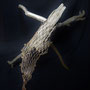 Amfibie (staand of hangend) 150x100x50cm 