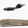 Zwarte Sluierstaart 30x20x10cm 