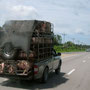 schweinetransport auf thailändisch. die salami hat trotzdem geschmeckt