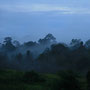 morgenstimmung im khao yai nationalpark