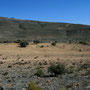 auf dem hochplateau beim jebal harim