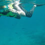 bail-nusa-penida-schnorcheln