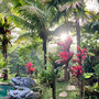 mirah-guesthouse
