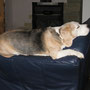 Schlafposition VI mit 12 Jahren