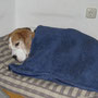 Februar 2009