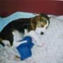 Herbst 2001