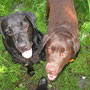 13.5.14