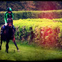 Don´t ride the white horse / Copyright © 2013