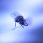 Copyright © 2010