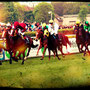 Don´t ride the white horse / Copyright © 2013