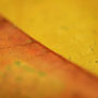 Copyright © 2011