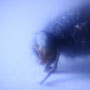 Copyright © 2010