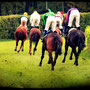 Don´t ride the white horse / Copyright © 2013