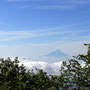 雲海に着くと　富士山ドーン！