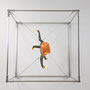 ALPOIZ| PUF, EP-G/S| Objekt:45x32x21cm/ Pod-R:68x68x68cm| 2025