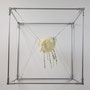 haru| PUF, EP-S| Objekt:35x27x33cm/ Pod-R: 68x68x68cm| 2025