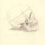 Skull and part of my A Level