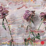 dénesh ghyczy, "three flowers", 2019, 100 x 150 cm, oil & acrylic on canvas – erlas galerie