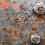 rost_06