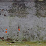 rost_05