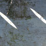 rost_04
