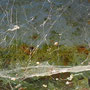 rost_02
