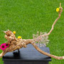 A. Fricke: Garten der Gnome (Wurzel gebürstet, Sonnenhut, Garten-Strohblume, Allium, Morgenstern-Segge, Blatt von Frauenmantel), Foto: O. Fricke