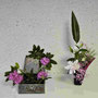 Ikebana-Ausbildung am Samstagvormittag