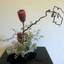 K. Tatai: Protea, Korkenzieherhasel, Eukalyptus, rosa gefärbte Eukalypthus-Blätter
