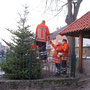 Aufstellen der Weihnachtsbäume durch die 3. Gruppe