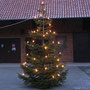 Aufstellen der Weihnachtsbäume durch die 3. Gruppe