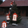 Aufstellen der Weihnachtsbäume durch die 3. Gruppe