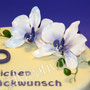 Orchideen Fondanttorte - Lila Orchideen