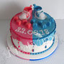 Zwillings Baby Fondanttorte 