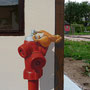 Trompe-l'oeil abri bus (détail) - Acrylique sur façade - Travexin, Cornimont (88) - 2013<br><br>trompe l'oeil . fresque . mur peint . abri de bus . vosges