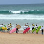 A surfing school