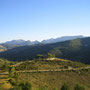 Photo tirée du site http://photosbaronnies.canalblog.com