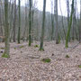 nabij Wallendorf