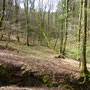 nabij Wallendorf